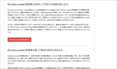devops-leader_shiken_2