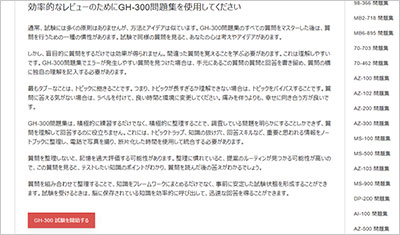 gh-300_shiken_2