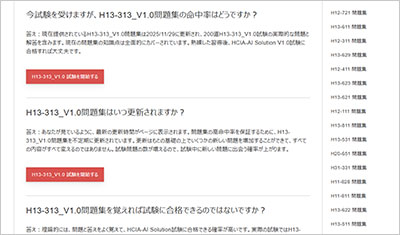 h13-313_v1-0_shiken_2