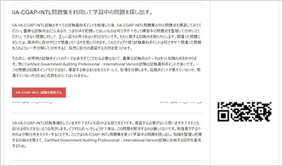 iia-cgap-intl_shiken_2