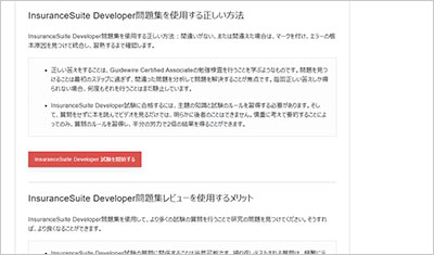 insurancesuite-developer_shiken_2