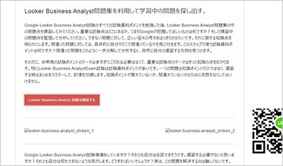 looker-business-analyst_shiken_2