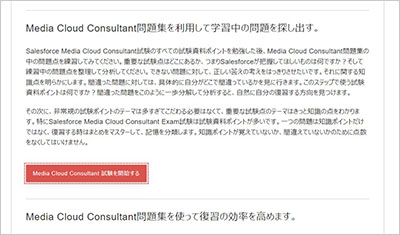 media-cloud-consultant_shiken_2