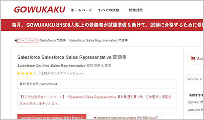 salesforce-sales-representative_shiken_1